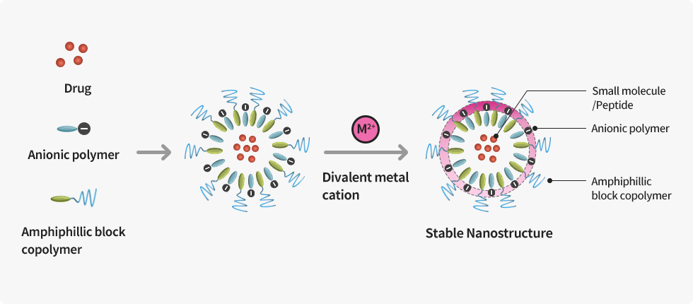 PNP(Polymeric Nanoparticle) 구조